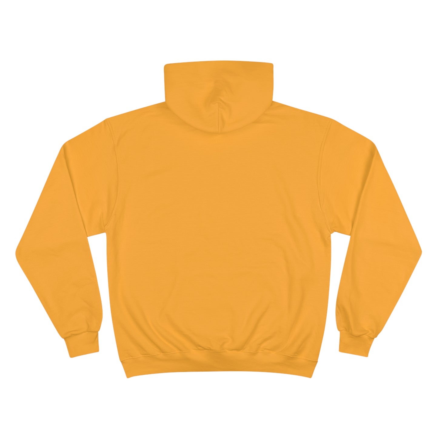 IV Grounds Society Men's Champion Hoodie